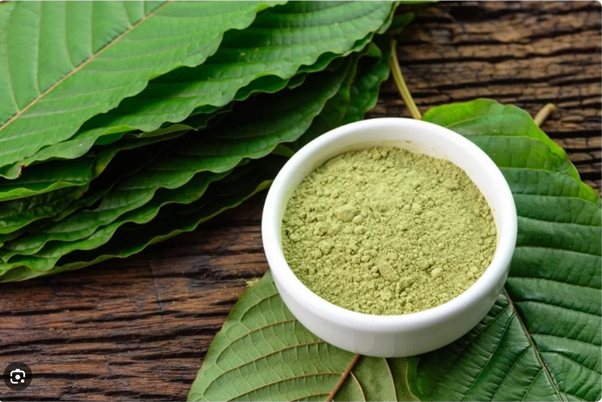 Kratom extract powder buyer checklist with lab-tested batch label