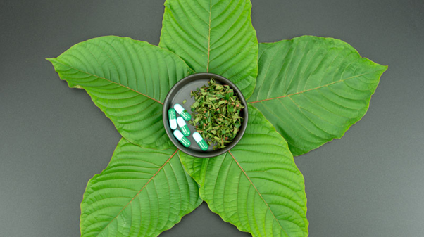 Yellow Vietnam Kratom for Sale